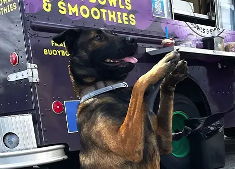 Core Value : Loyalty