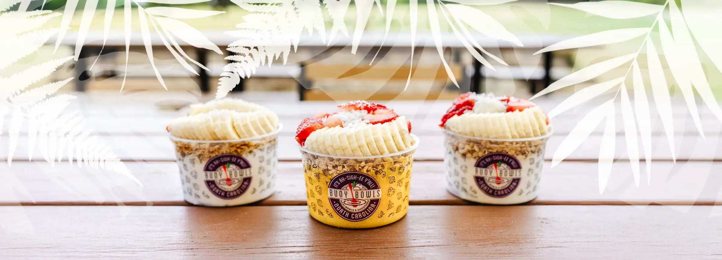 Check Out Our New Mango & Coconut Blend Bowls